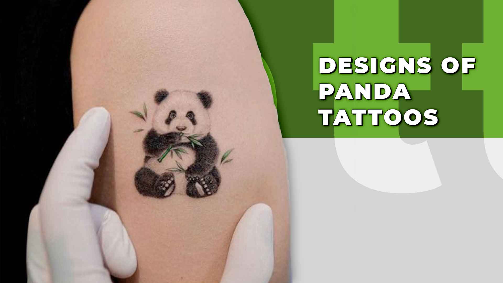 Tired Panda Bear Temporary Tattoo - Set of 3 – Tatteco