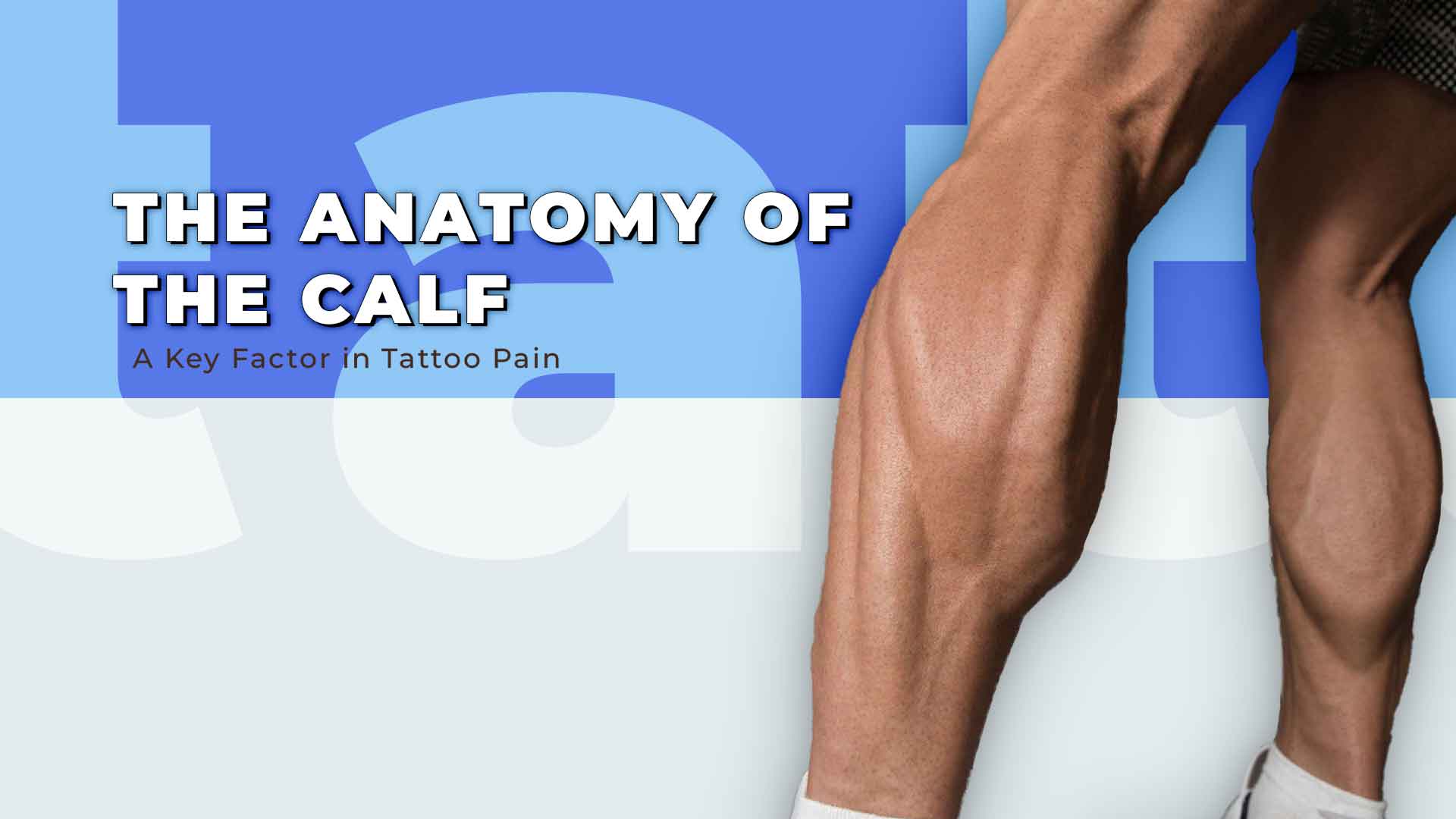 calf anatomy tattoos